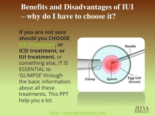 iui cost in noida, IVF Cost in Noida