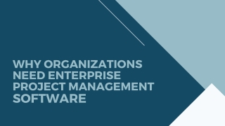 Why Organizations Need Enterprise Project Management Software