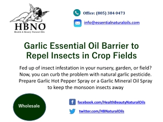 Garlic Essential Oil Barrier to Repel Insects in Crop Fields