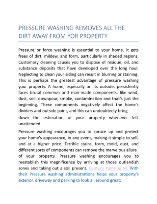 PRESSURE WASHING REMOVES ALL THE DIRT AWAY FROM YOR PROPERTY
