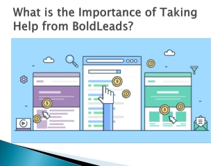 What is the Importance of Taking Help from BoldLeads?
