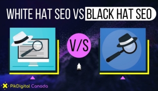 White Hat SEO vs Black Hat SEO - Definitions & Differences