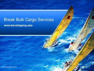 Break bulk cargo services