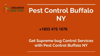 Pest Control Buffalo NY