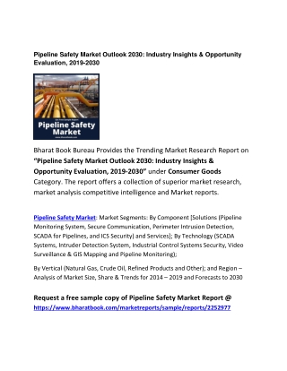 Global Pipeline Safety Market Outlook 2030: Forecast 2019-2030