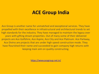ACE Group India