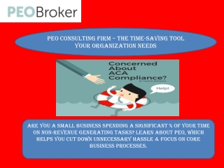 PEO Consulting Firm – The Time-saving Tool Your Organization Needs