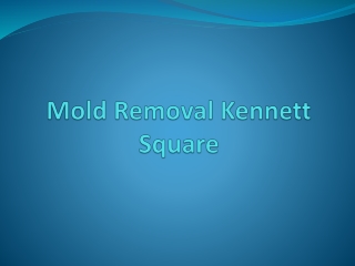 Mold Removal Kennett Square