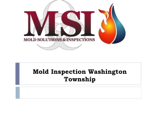 Mold Inspection Washington Township