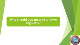 Why should you mow your lawn regularly?