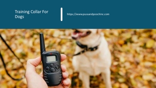 Training Collar For Dogs_.ppt