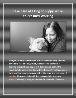 TAKE CARE OF A DOG OR PUPPY WHILE YOU’RE BUSY WORKING.
