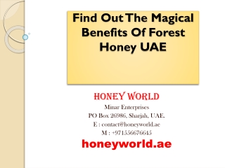 Find Out The Magical Benefits Of Forest Honey UAE