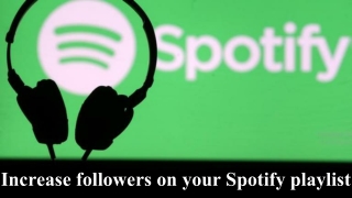 Get Real Spotify Playlist Followers