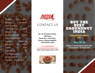 Buy The Best Groundnut India