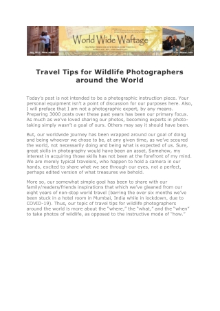 Travel Tips for Wildlife Photographers around the World