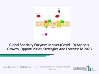 Specialty Enzymes Market 2020 – Growing Popularity And Emerging Trends