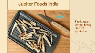 Jupiter – Manufacturers of Liquid Chicory Extract in India