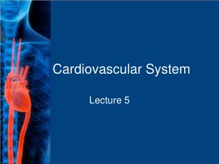 Cardiovascular System