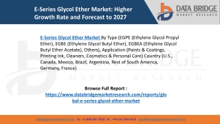 E-Series Glycol Ether Market