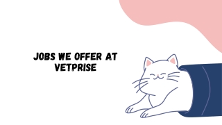 Jobs We Offer At Vetprise