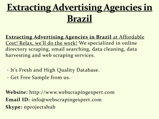 Extracting Advertising Agencies in Brazil