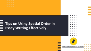 Tips on Using Spatial Order in Essay Writing Effectively