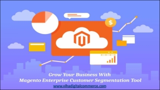 How Magento Enterprise Customer Segmentation Tool Can Be Your Growth Partner?