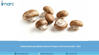 Mushroom Market Report, Industry Trends, Share, Share, Regional Breakup and Forecast Till 2025