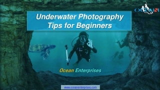 Underwater Photography Tips for Beginners - Ocean Enterprises