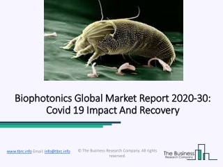 Biophotonics Market Leading To Exponential Growth By 2023 | Industry Growth Insights