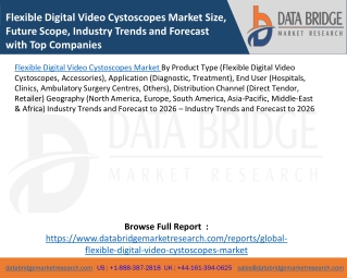 Flexible Digital Video Cystoscopes Market Size, Future Scope, Industry Trends and Forecast with Top Companies