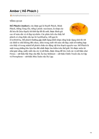 Amber ( Hổ Phách )