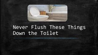What Not to Flush Down the Toilet
