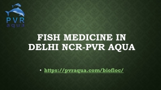 Fish Medicine in Delhi NCR-PVR AQUA