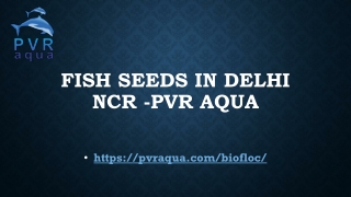 Fish Seeds in Delhi NCR -PVR AQUA