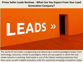 Prime Seller Leads Reviews - What Can You Expect From Your Lead Generation Company?