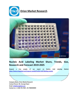 Nucleic Acid Labeling Market Research and Forecast 2019-2025