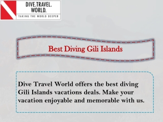 Best Diving Gili Islands