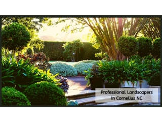 Professional Landscapers In Cornelius NC