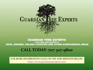 Guardian Tree Experts Napa