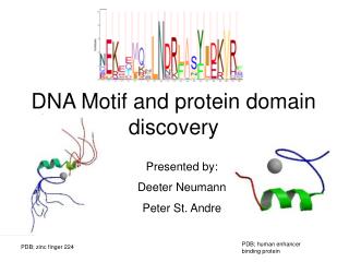 PPT DNA Motif  and protein domain discovery PowerPoint 