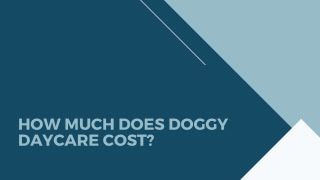 How Much Does Doggy Daycare Cost?
