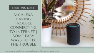 Why My Alexa Having Trouble Connecting To Internet 1-8007956963 Call Anytime