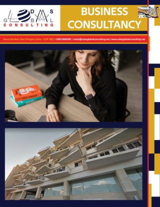 What can a business consulting firm do for you