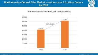 North America Dermal Filler Market to Witness Remarkable Growth