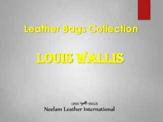 Leather Bag's Collection
