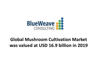 Global Mushroom Cultivation Market trends, size