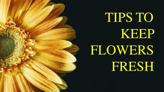 TIPS TO KEEP  FLOWERS FRESH