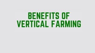 BENEFITS OF VERTICAL FARMING